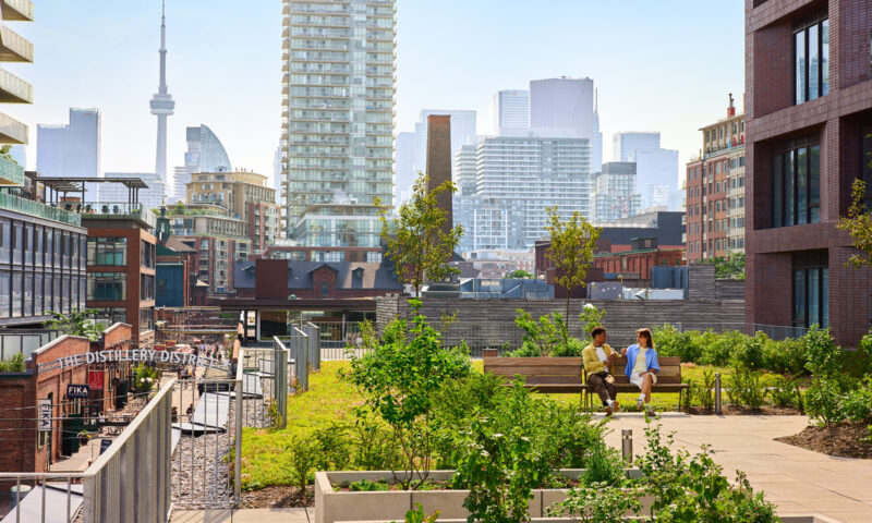 Community Garden at Maple House